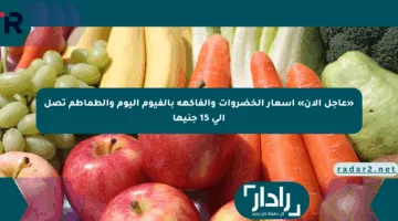 «عاجل الآن» أسعار الخضروات والفاكهة بالفيوم اليوم والطماطم تصل إلى 15 جنيها
